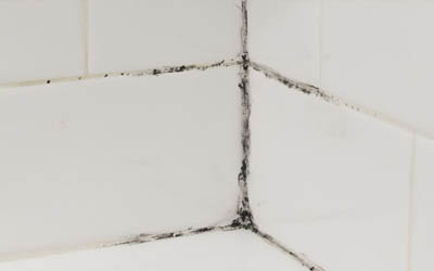  Stained Wall corner